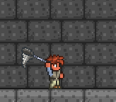 泰拉瑞亚百科金虫网配图