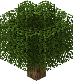 我的世界百科橡树属性配图