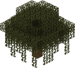 我的世界百科橡树属性配图