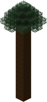 我的世界百科云杉属性配图