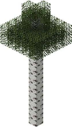 我的世界百科白桦属性配图