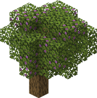 我的世界百科杜鹃树属性配图