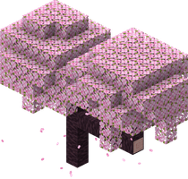 我的世界百科樱花树属性配图