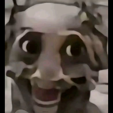 用户头像-我是一个新手