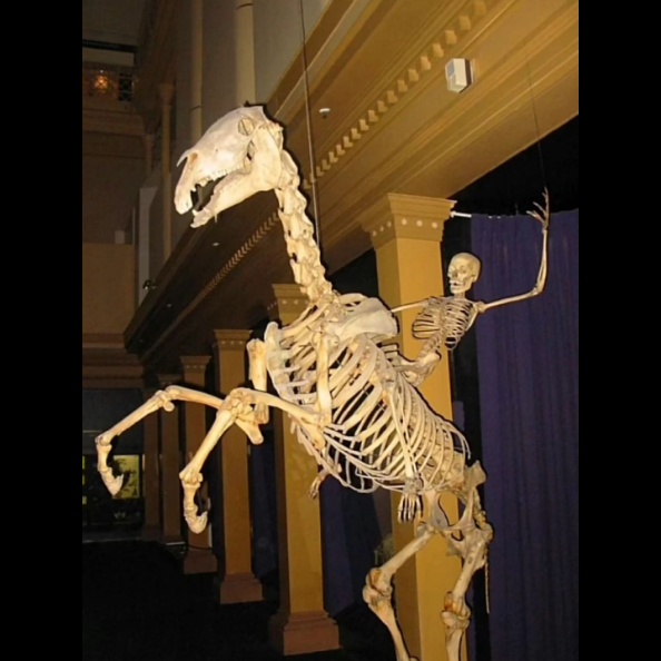 用户头像-东方星空