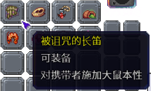 泰拉瑞亚百科新增物品分类及贴图大全1.4.5饰品配图