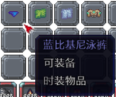 泰拉瑞亚百科新增物品分类及贴图大全1.4.5时装配图