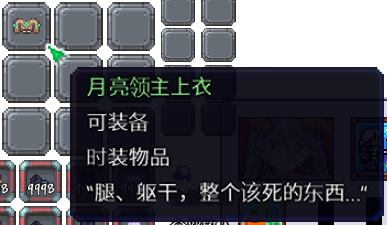 泰拉瑞亚百科新增物品分类及贴图大全1.4.5时装配图