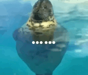 2026年新春系列活动来啦~祝大家马年吉祥、顺心顺意！