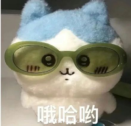 2026年新春系列活动来啦~祝大家马年吉祥、顺心顺意！