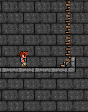 泰拉瑞亚百科平台定位平台配图