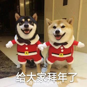 2026年新春系列活动来啦~祝大家马年吉祥、顺心顺意！