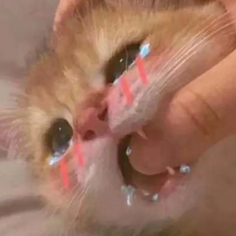 用户头像-忆涵qwq