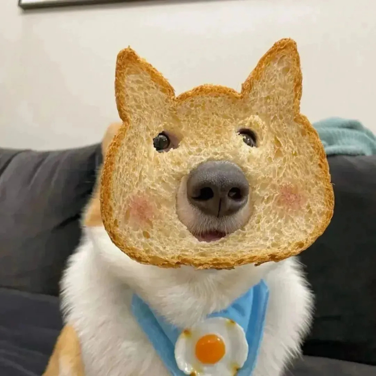 用户头像-热心馆友375807